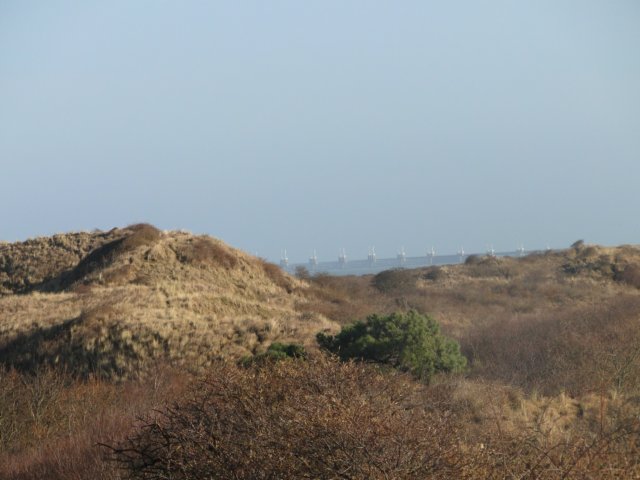 NWK 2010 215.jpg